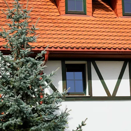 Guest house Plonica 1
