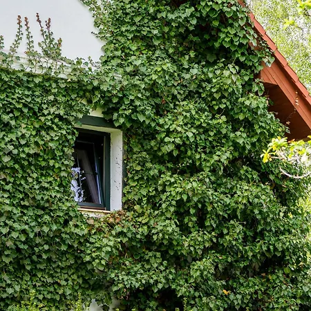 Plonica 1 Злоты-Сток