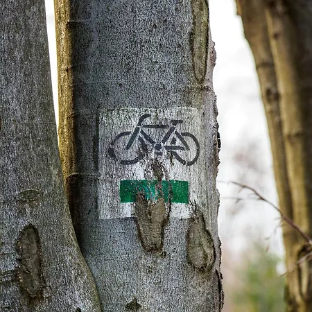 Гостевой дом Plonica 1 3*