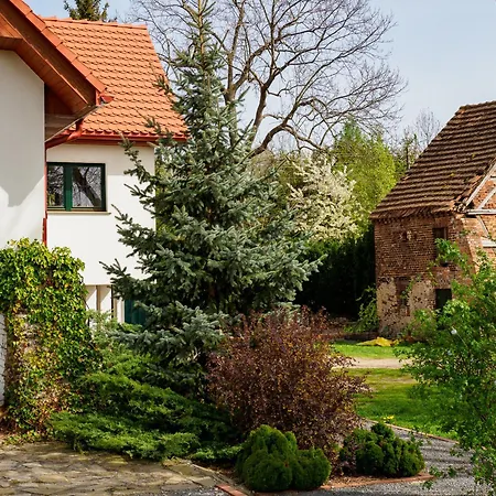 Plonica 1 Гостевой дом