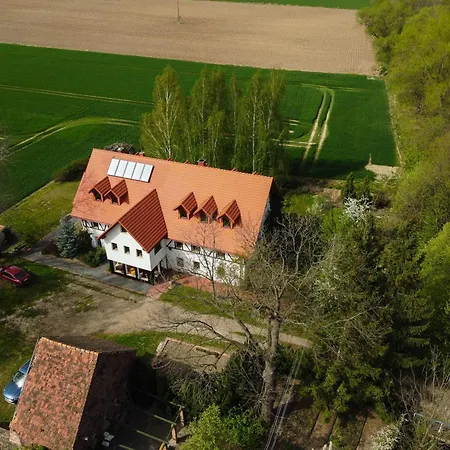 Płonica 1