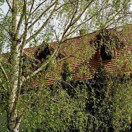 Guest house Plonica 1 Zloty Stok