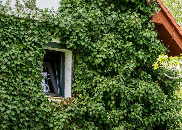 Plonica 1 Złoty Stok