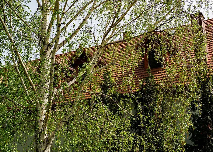 Gasthuis Plonica 1 Złoty Stok